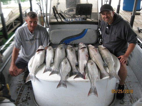 Nice Striped Bass